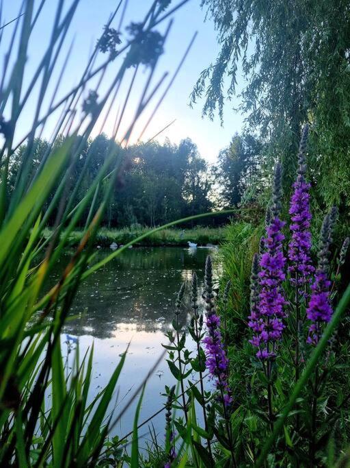 La Villa D'Aurel De 140M2, 2 Hectares De Nature Fruges Екстер'єр фото